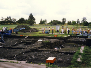 Раскопки на острове Бьёркё в 1991 году