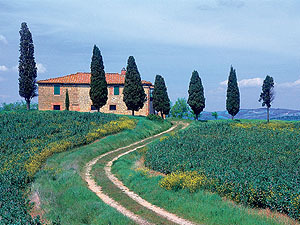 Типичный тосканский пейзаж